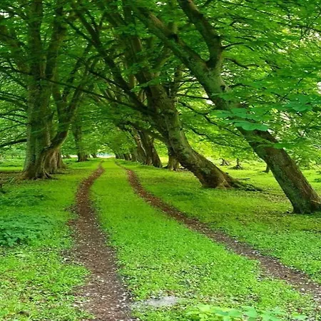 Apartament Charmante In Am Hafen Wißmar